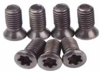 Parafusos Torx para Suportes Intercambiáveis - imagem 2