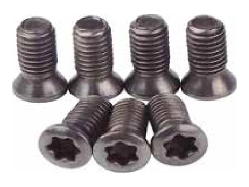 Parafusos Torx para Suportes Intercambiáveis